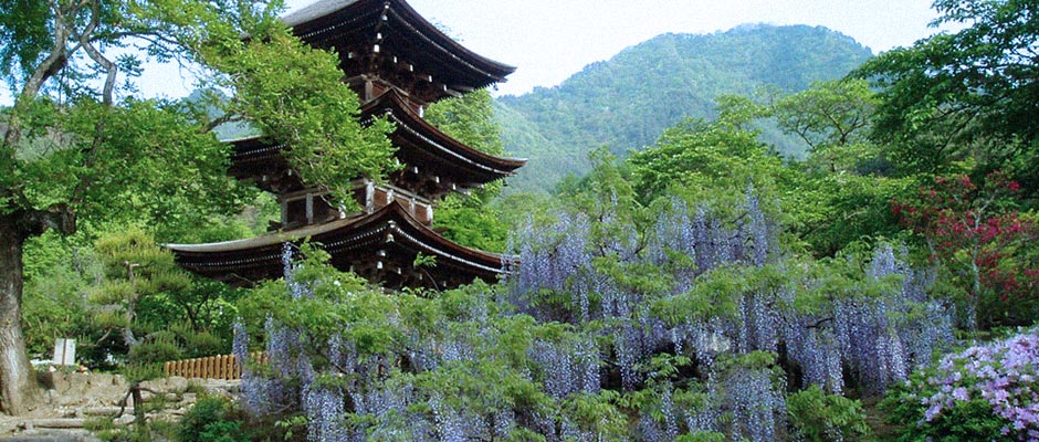 塩田平札所巡り