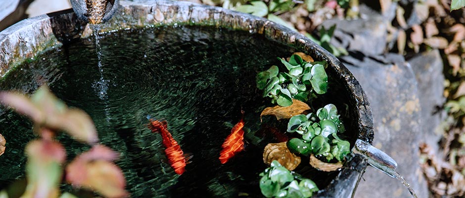 別所温泉旅館組合の公式インスタグラム