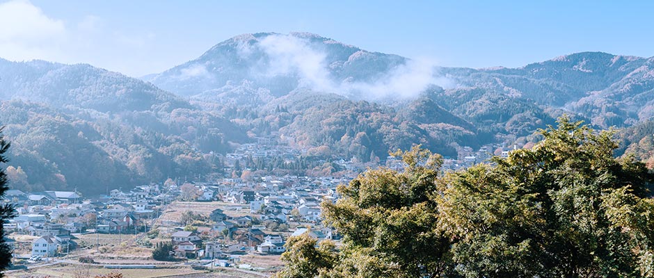 登山 / 徒步旅行