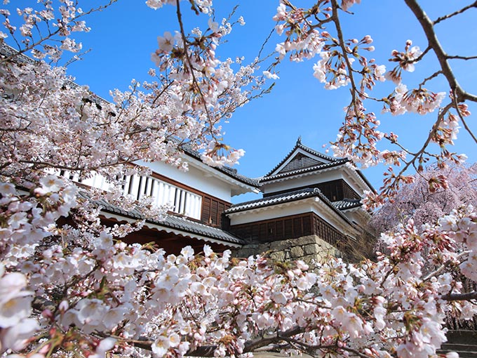 上田城跡公園
