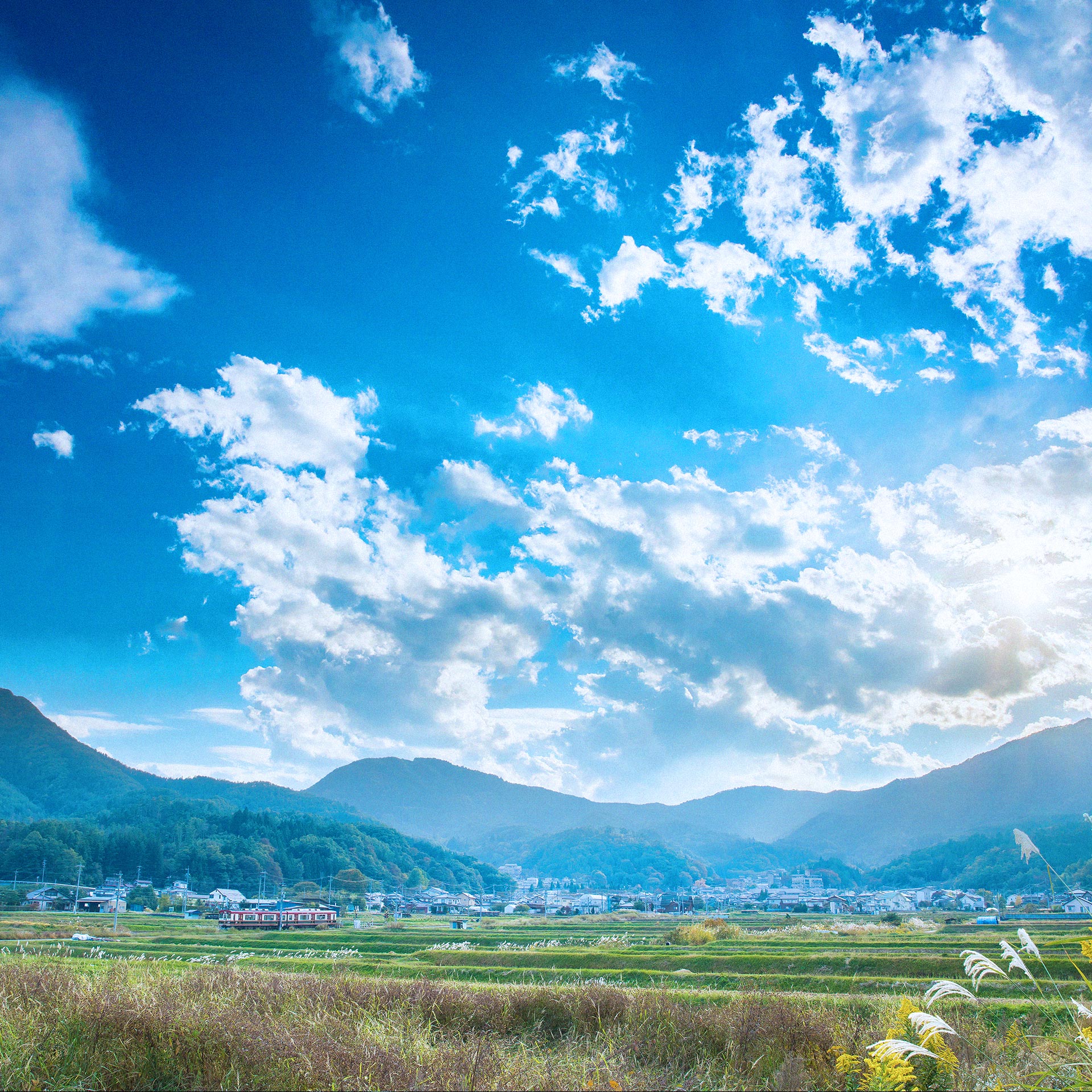 パンフレットダウンロード