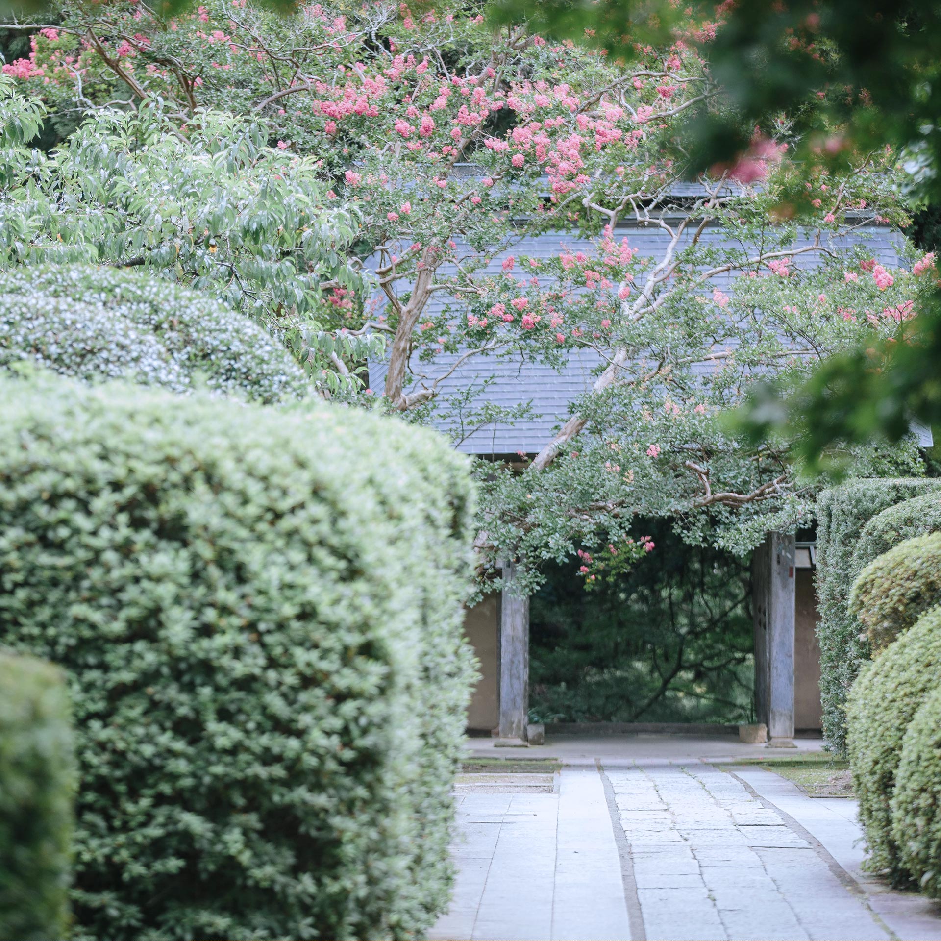 インスタグラムコンテスト