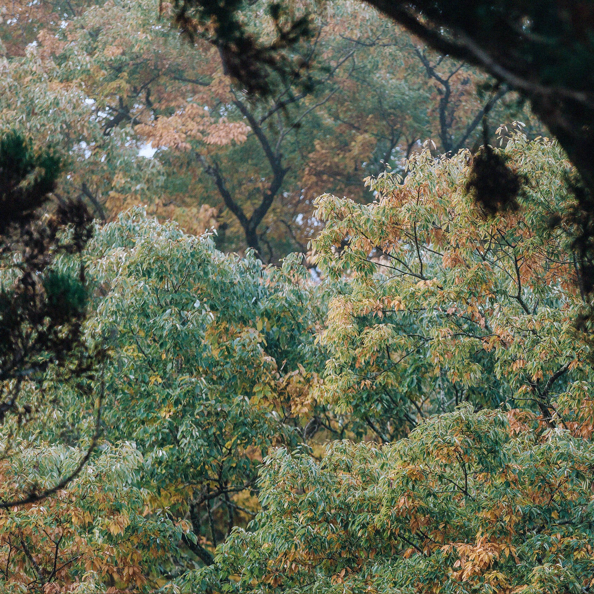 メディアの皆様へ